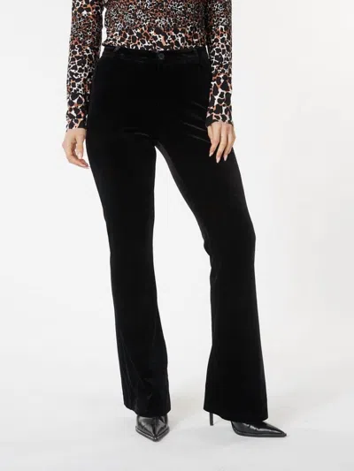 Esqualo Flair Velour Trouser Pant In Black