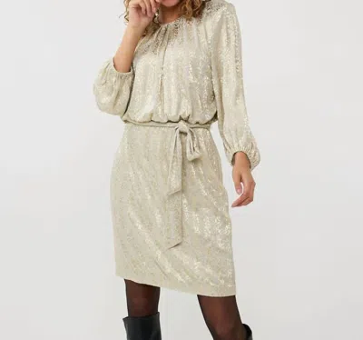 Esqualo Leopard Foil Dress In Gold