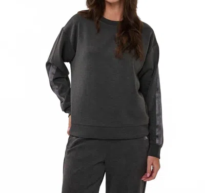 Esqualo Modal Sweatshirt With Rhinestone Trim In Dark Grey In Gray