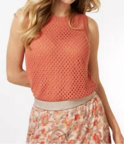 Esqualo Open Lurex Top In Papaya In Brown