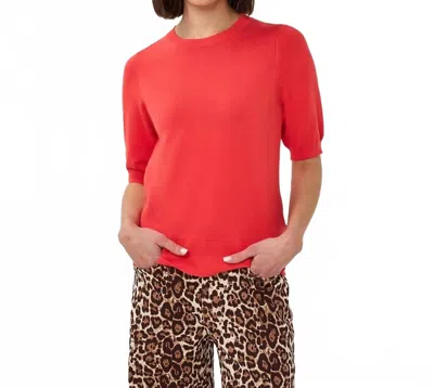 Esqualo Short Sleeve Basic Knit Sweater In Chili Red