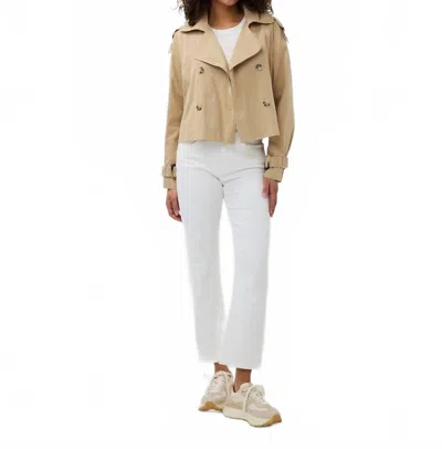 Esqualo Short Trenchcoat In Dark Sand In Brown