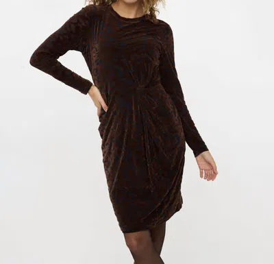 Esqualo Velvet Leopard Dress In Chocolate In Gold