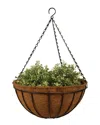 Esschert Design Usa 14in Hanging Basket
