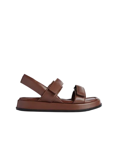 Essen The Sporty Sandal In Brown