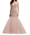 Essence Of Australia Fit And Flare Wedding Dress With Tulle Skirt In Ivory Over Moscato In Multi