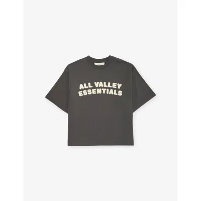 Essentials Kids' All Valley  Merch Cotton-jersey T-shirt 2-14 In Iron Grey