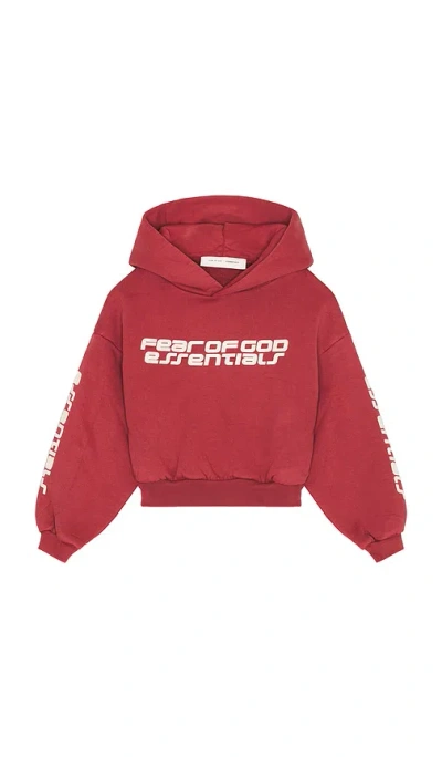 Essentials Classic 连帽衫 In Burgundy