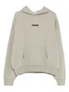 Essentials Classic Fleece Hoodie In Gray