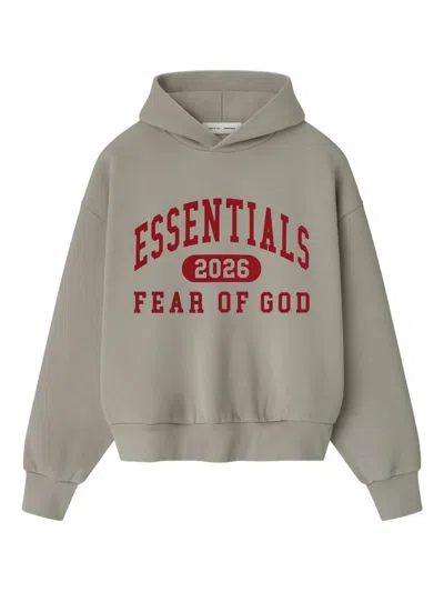 Essentials Classic Graphic Hoodie In Gray