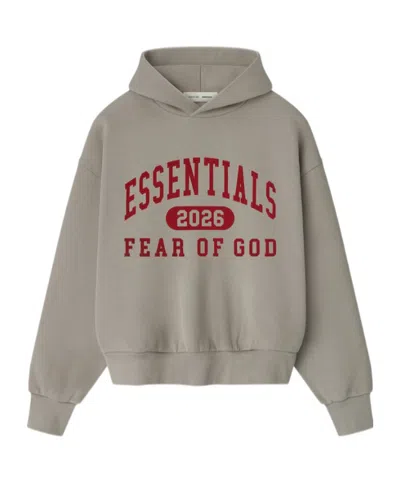 Essentials Classic Graphic Hoodie In Gray