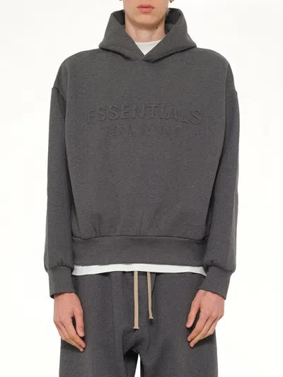 Essentials Classic Hoodie In Gray