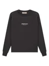 Essentials Crew Neck Sweatshirt In Gray