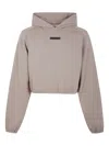 Essentials Taupe Modern Fit Hoodie In Brown