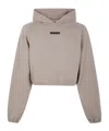 Essentials Taupe Modern Fit Hoodie