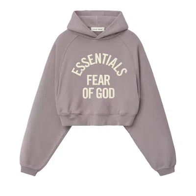 Pre-owned Essentials Fear Of God  Campus 90s Cropped Raglan Hoodie 'faded Mauve' | Purple | Women's Size M