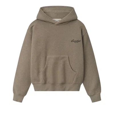 Pre-owned Essentials Fear Of God  Classic Hoodie 'homestead Heather' | Tan | Women's Size Xl In Brown