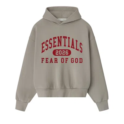 Pre-owned Essentials Fear Of God  Classic Hoodie 'smoke Grey' | Men's Size M In Gray