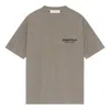 Essentials Fear Of God  Classic Short Sleeve T-shirt 'homestead Heather' In Gray