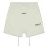 Essentials Fear Of God  Fw21 Volley Shorts Green In Neutral