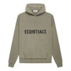 Essentials Fear Of God  Fw21 Knit Hoodie 'pistachio'