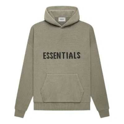 Essentials Fear Of God  Fw21 Knit Hoodie 'pistachio'