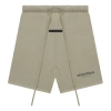 Essentials Fear Of God  Fw21 Sweatshorts 'pistachio' In Green