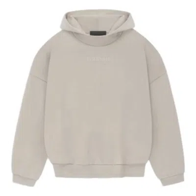 Essentials Fear Of God  Fw23 Hoodie 'silver Cloud'