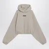 Essentials Taupe Modern Fit Hoodie