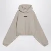Essentials Logo Patch Hooded Cropped Sweatshirt In Brown