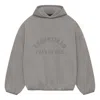 Essentials Fear Of God  Nylon Fleece Hoodie 'heather Grey Dust'