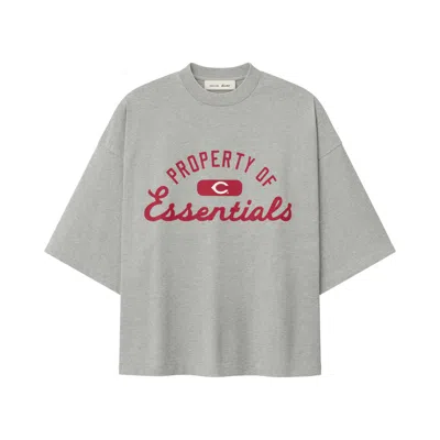 Pre-owned Essentials Fear Of God  Reds Merch Tee 'concrete Heather' | Grey | Men's Size M In Gray