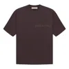 Essentials Fear Of God  Ss23  Tee 'plum Purple' In Brown