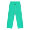 Essentials Fear Of God  Ss24 Relaxed Pants 'mint Leaf' In Green