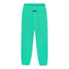 Essentials Essential "mint Leaf" Track Pants In Green