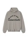 Essentials Gray Training 90s Hoodie In Fadedseal
