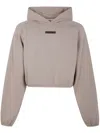 Essentials Taupe Modern Fit Hoodie