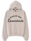 Essentials Gray Training 90s Hoodie In Gray