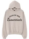 Essentials Gray Training 90s Hoodie In Gray