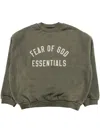 Essentials Logo T-shirt In 绿色