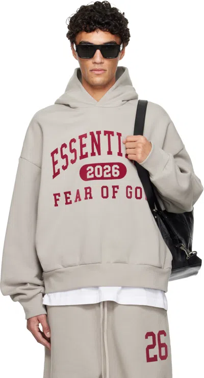 Essentials Gray Holiday Classic Hoodie