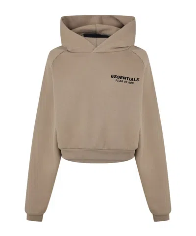 Essentials Logo Hooded Sweatshirt In Brown