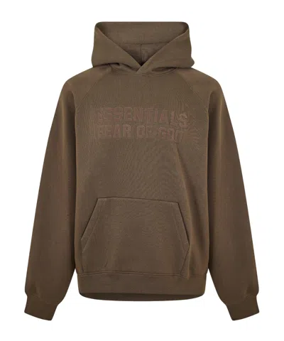 Essentials Logo Hoodie In Brown