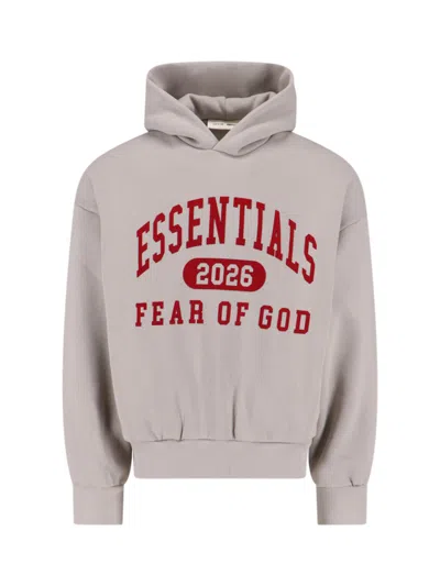 Essentials Logo Hoodie In Gray
