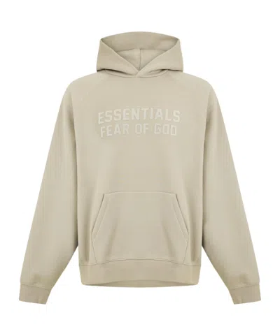 Essentials Logo Hoodie In Gray