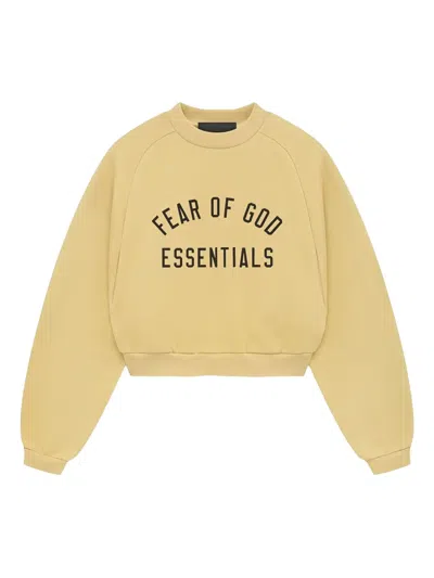 Essentials Logo-print Sweatshirt In Multi