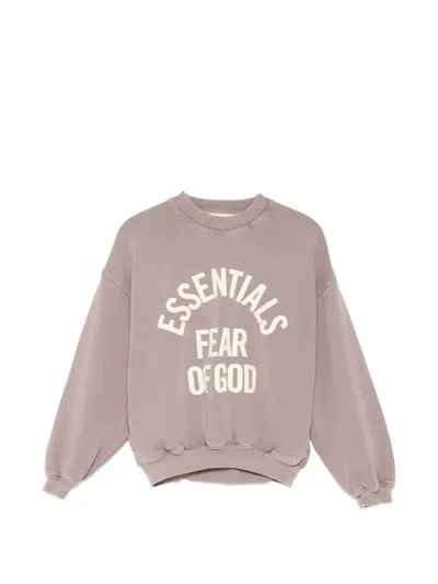 Essentials Kids' Logo-print Long Sleeve Sweatshirt In Brown