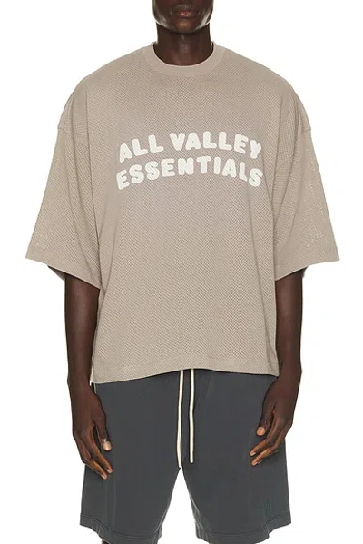 Essentials Merch Tee In Neutral