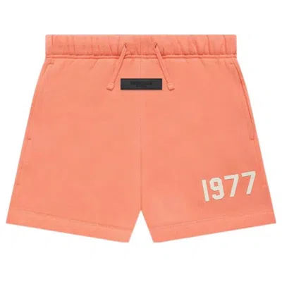 Essentials (ps) Fear Of God  Fw22 Sweatshort 'coral' In Orange