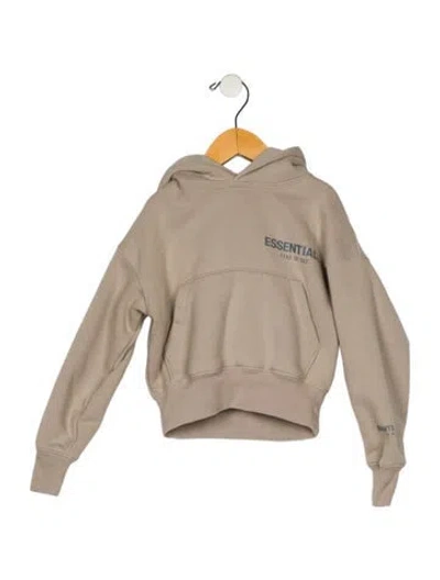 Pre-owned Essentials Babies' Toddler Boys' Logo Hoodie In Neutral